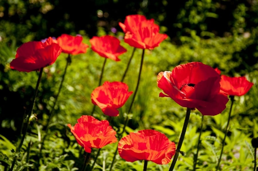 3 Visual Design Tips for Multi-device Compatible Courses