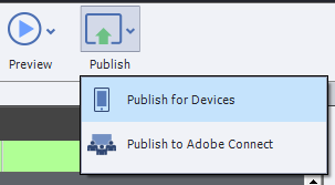 preview or publish 