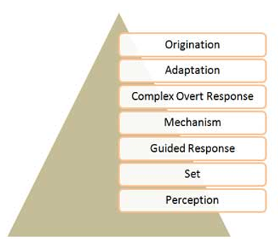 Simpson’s Model of the Psychomotor Domain