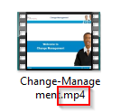 MP4 Video