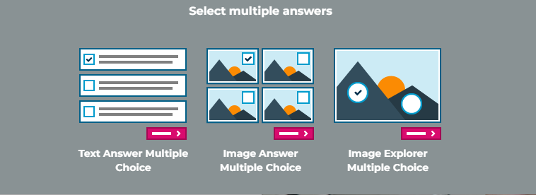 Select Multiple Answers