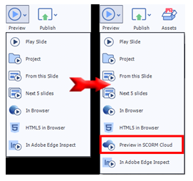 Preview and Publish