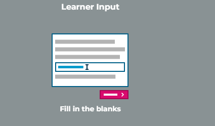 Learner Input