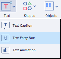 Insert a Text Entry Box