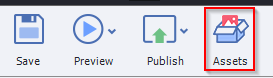 Assets Button