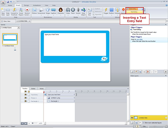 Insert a Text Entry field
