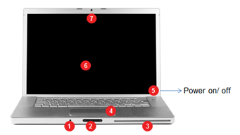 Animations or Simulations 
