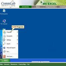Animations or Simulations 
