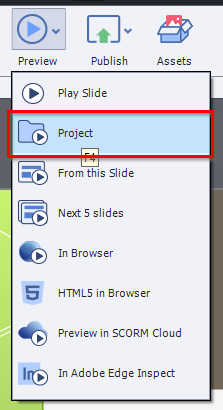 Preview project