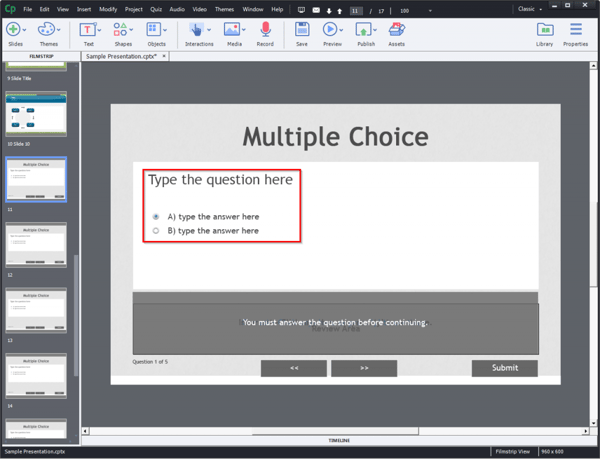 Type questions and options