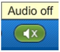 Audio button