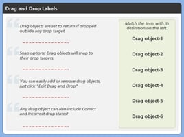 Drag and Drop Labels