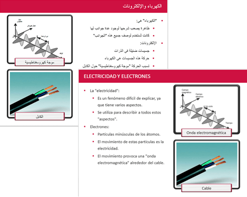 rapid-elearning-translations-success-story-req-ss-v1