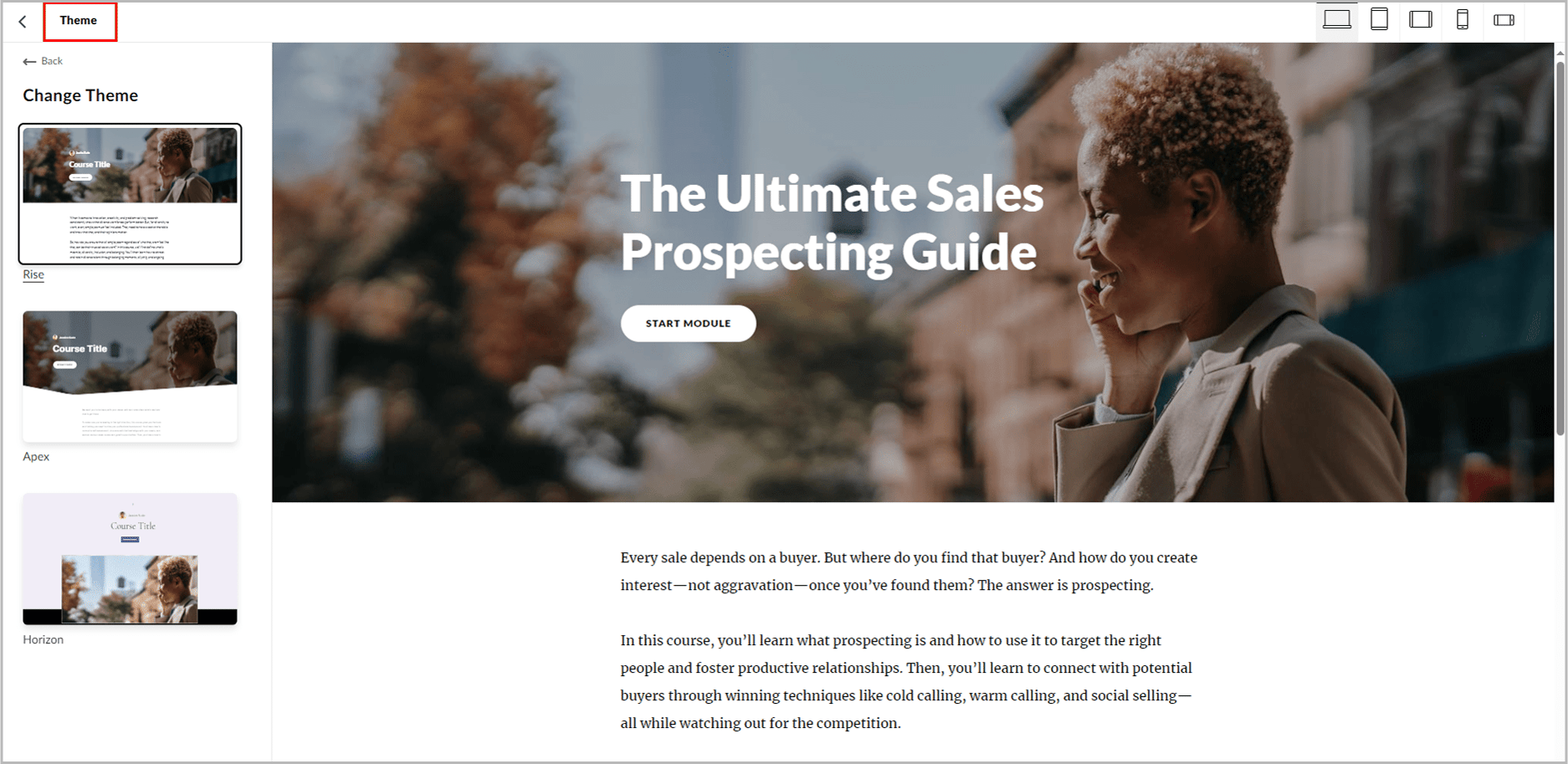 Theme Options in Articulate Rise 360