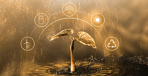 elearning-sustainability-training-success-story