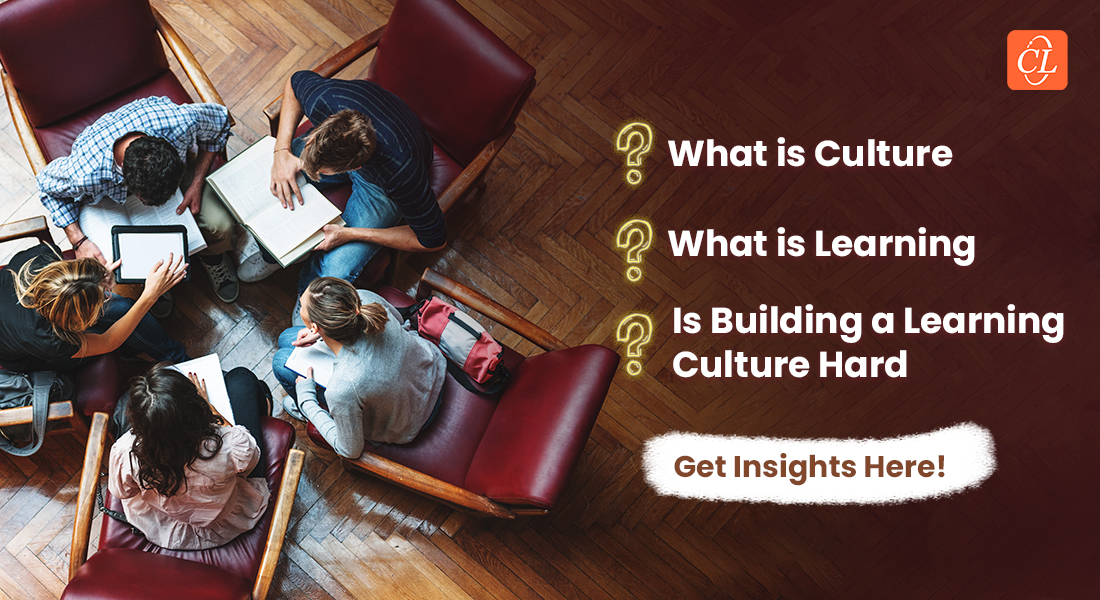  Building Learning Cultures: Some Insights 