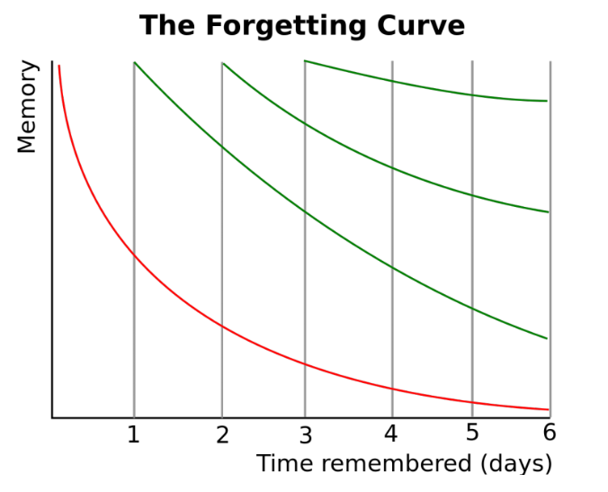 Forgetting Curve and Online Training – Exciting Ways to Keep it at Bay