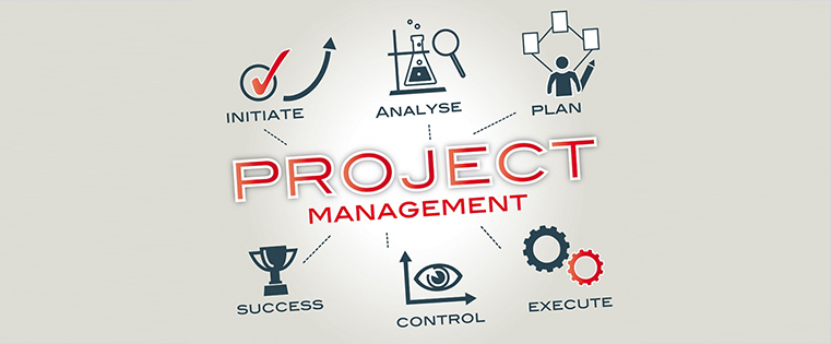  Role of Project Manager in Project Management Life Cycle 