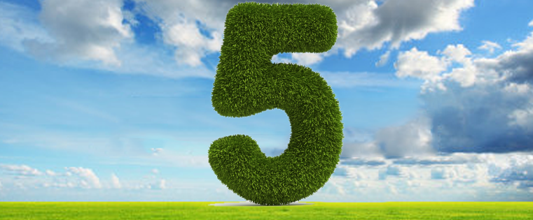  5 Instructional Design Essentials for E-learning Courses 