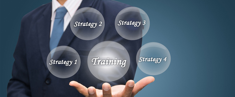 4 Learning Strategies to Train Employees on New Software