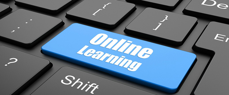  The Pros and Cons of E-learning [Infographic] 