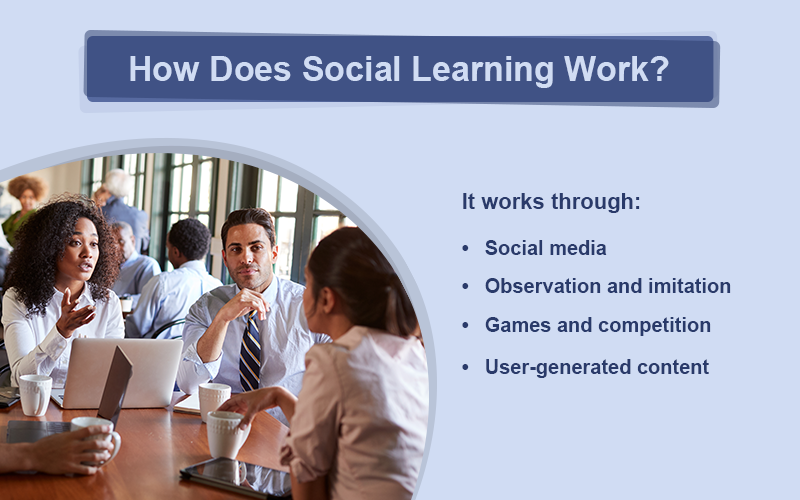 Decoding Social Learning: How Collaboration Works in the Workplace