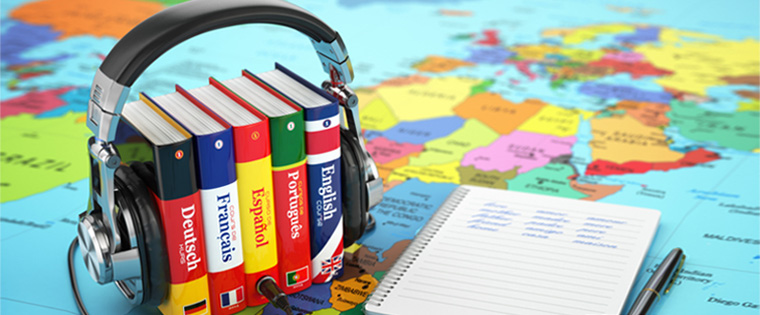  Lost in E-learning Translation: Should Employees Double up as Translators? 