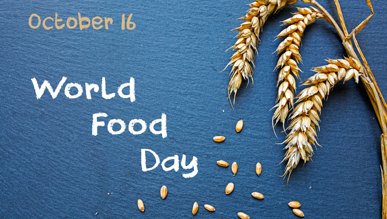 An Overview of World Food Day