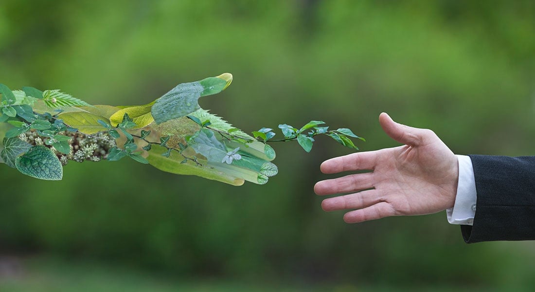  How to Reach Your Corporate Goals with Effective Sustainability Training 