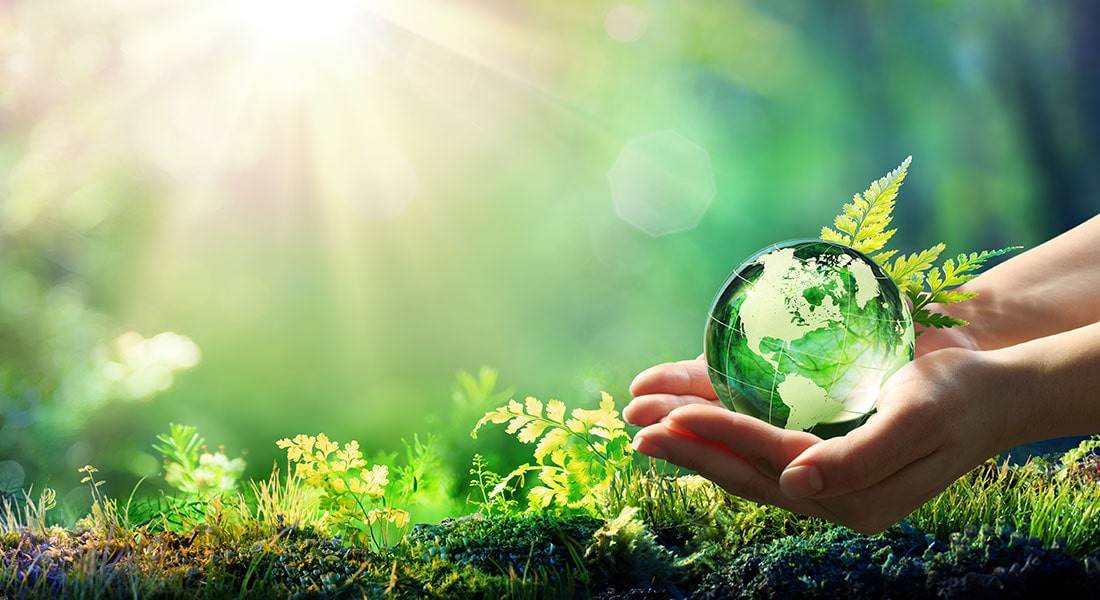  Greening the Corporate Landscape: 6 Blogs Unveiling the Path to Sustainability 