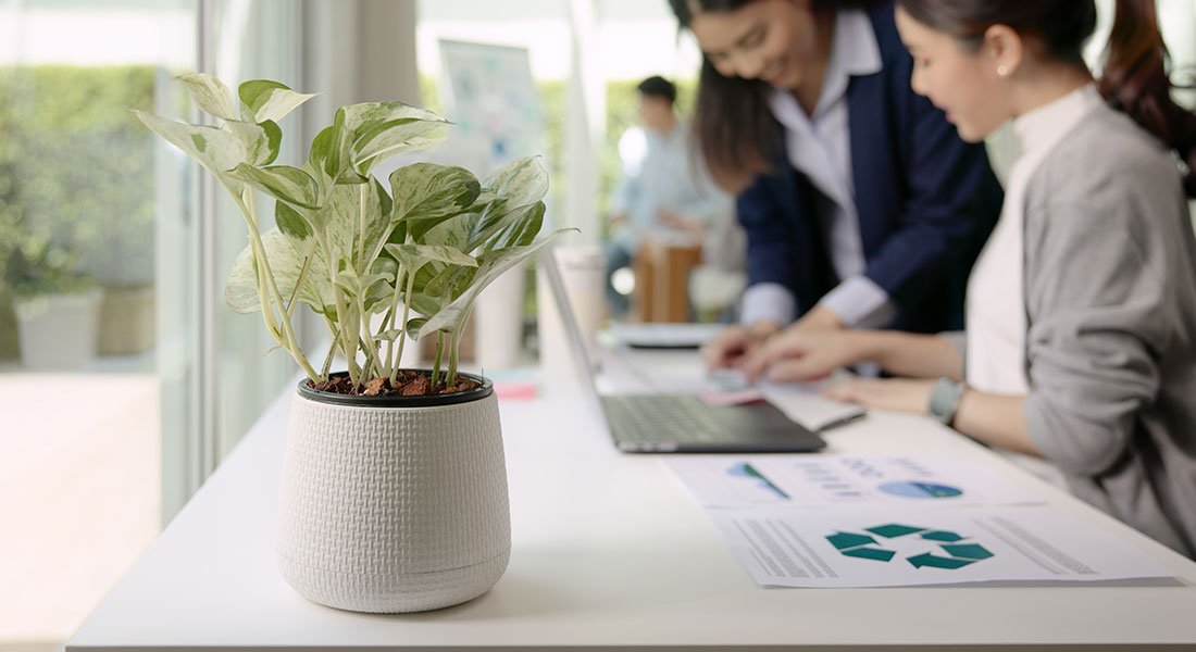  Eco-Win: Sustainability Training for Business Brilliance 