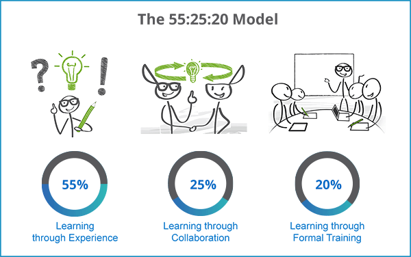 The-55-25-20-Model-new