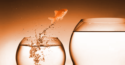 elearning-change-management-training-success-story